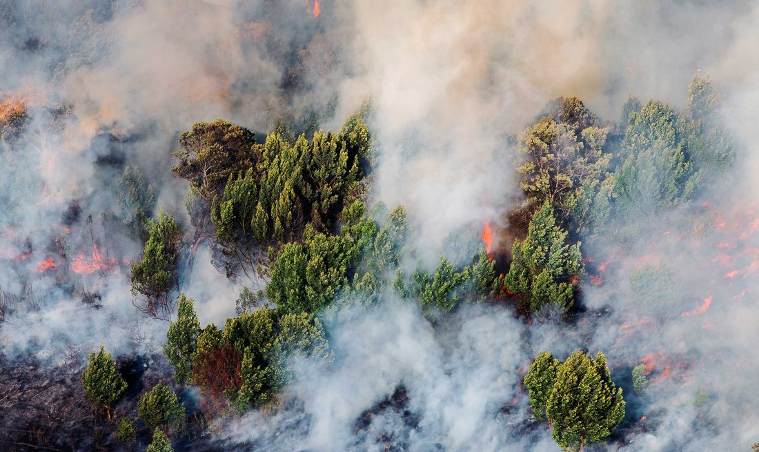A forest fire rips through Sumatra. Unfettered forest clearing and peatland draining to make way for palm oil and pulp and paper plantations are considered to be the main cause of Indonesia’s agricultural fires. Photo/Muhammadiyah
