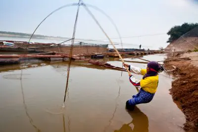 Woman uses traditional net pulley system in the shallow waters of the Mekong River