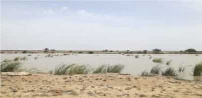 Photograph of seawater intrusion in Lower Sindh, Pakistan, due to upstream water development