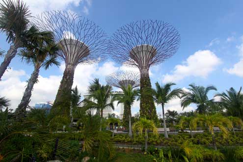 There are few densely populated cities in the world today that can claim a better record of integrating natural environments into the urban experience than Singapore’s “City in the Garden” model. Photo/Flickr user Jamie Carter http://bit.ly/1l3OUr8